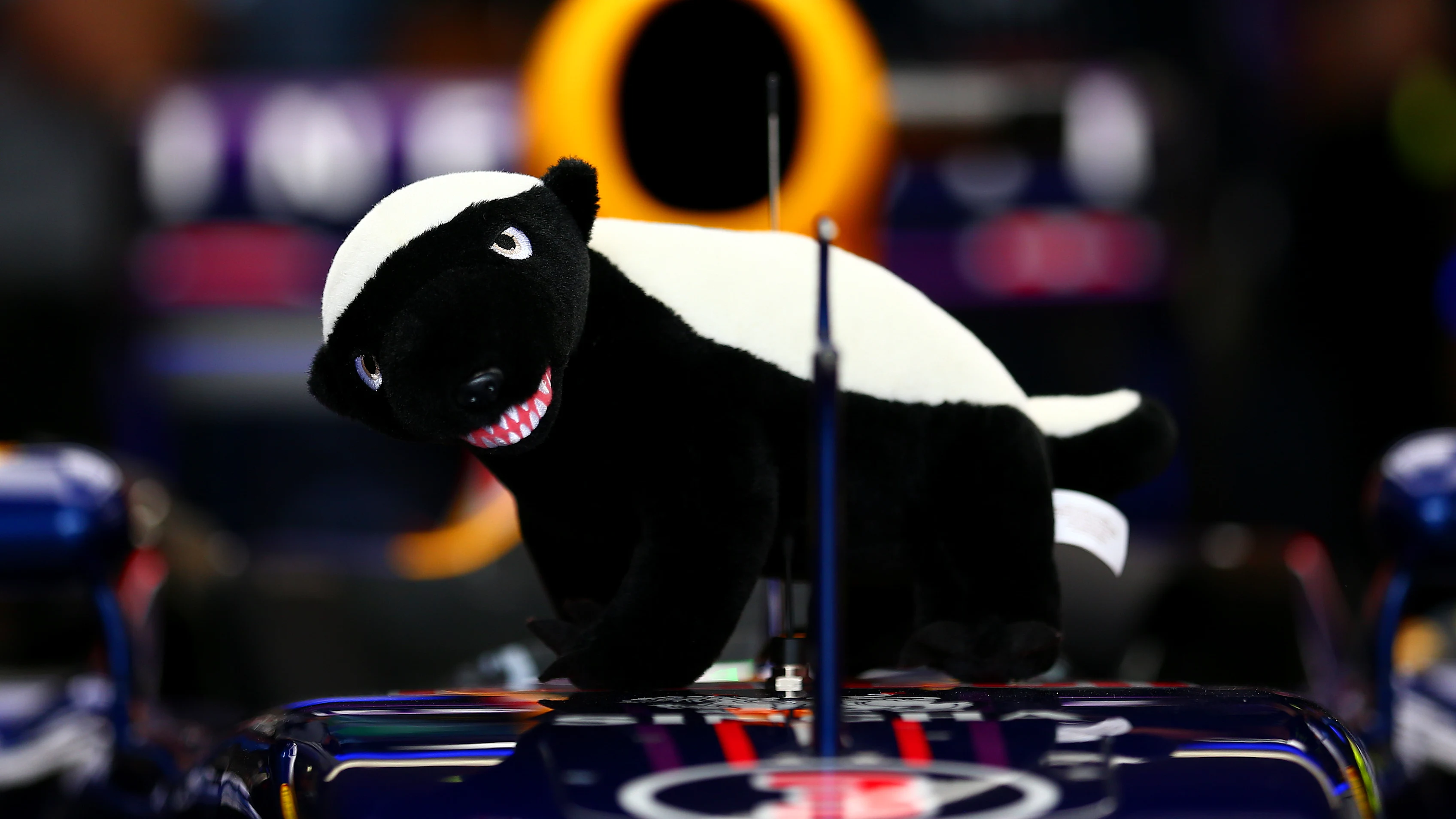 Sao Paulo, Brésil - 08 novembre: Daniel Ricciardo d'Australie et Infiniti Red Bull Racing's