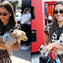 Leo a l'habitude de voler le spectacle dans le paddock! Swipe pour plus