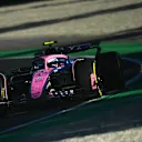 MONZA, ITALY - SEPTEMBER 05: Franco Colapinto of Argentina driving the (43) Alpine F1 A525 Renault on track during practice ahead of the F1 Grand Prix of Italy at Autodromo Nazionale Monza on September 05, 2025 in Monza, Italy. (Photo by James Sutton - Formula 1/Formula 1 via Getty Images)