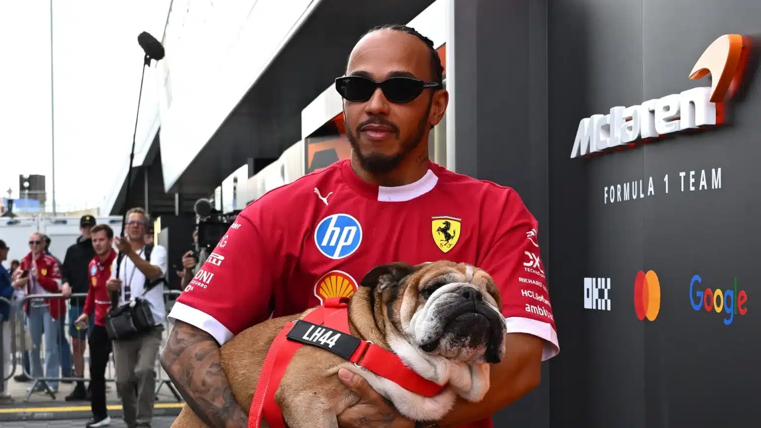 Hamilton partage la mise à jour de la santé sur son chien Roscoe après avoir retiré le test de pneu
