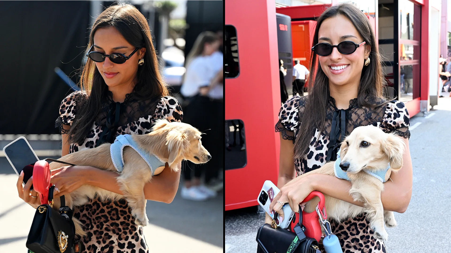 Leo a l'habitude de voler le spectacle dans le paddock! Swipe pour plus