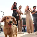 Léo connaît ses angles !