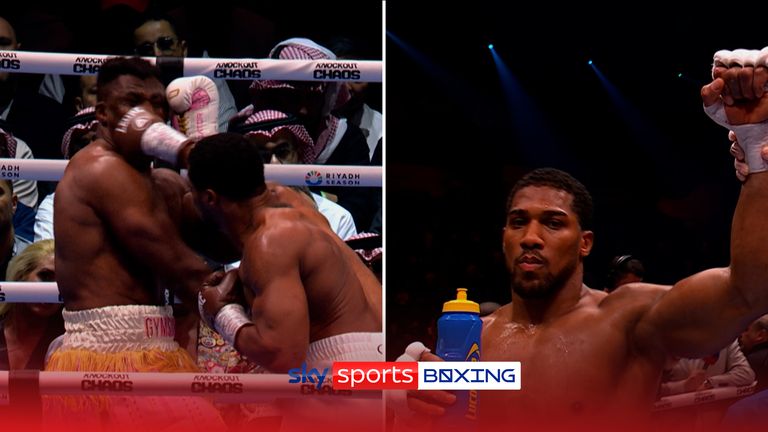 Anthony Joshua Francis Ngannou met en lumière